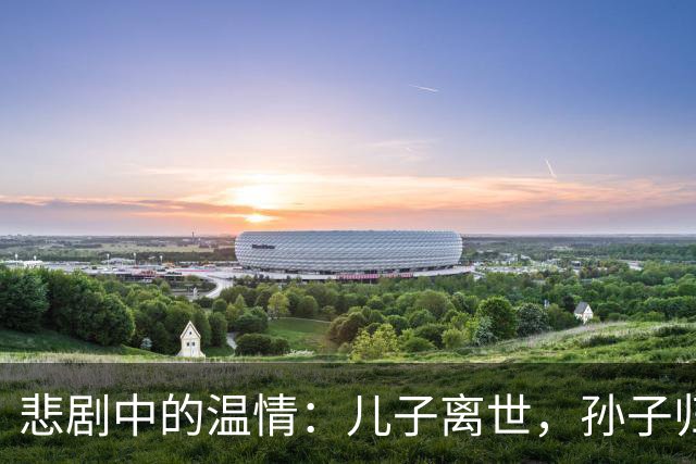 悲剧中的温情：儿子离世，孙子归属的真相之路
